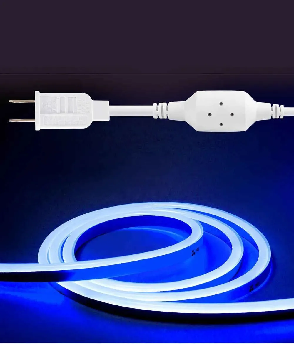 110V Eco Blue Led Neon Rope Light Medium-Priced Energy Efficient 189Lumens/M