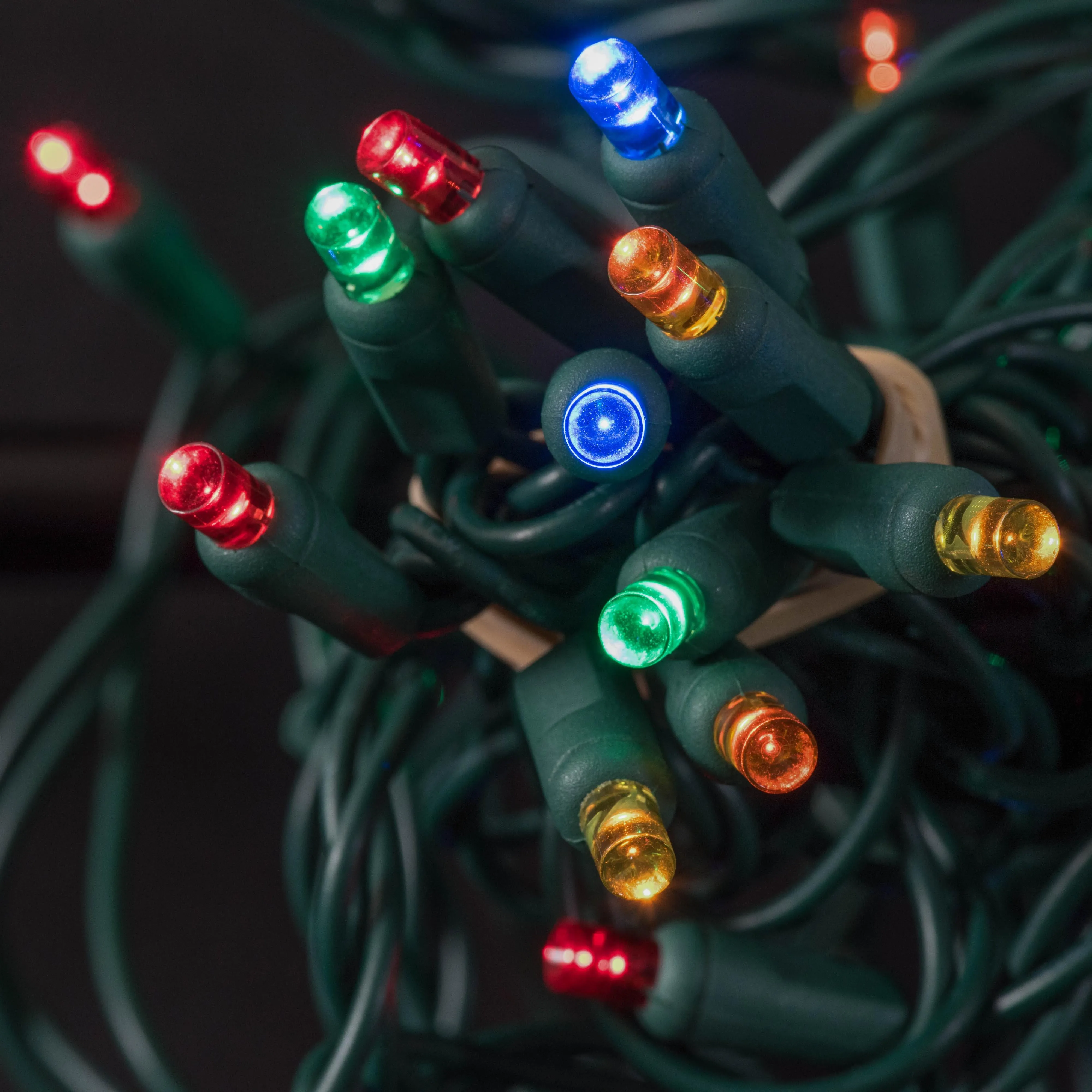 50-light  5mm Multicolor LED Christmas Lights, 4" Spacing Green Wire