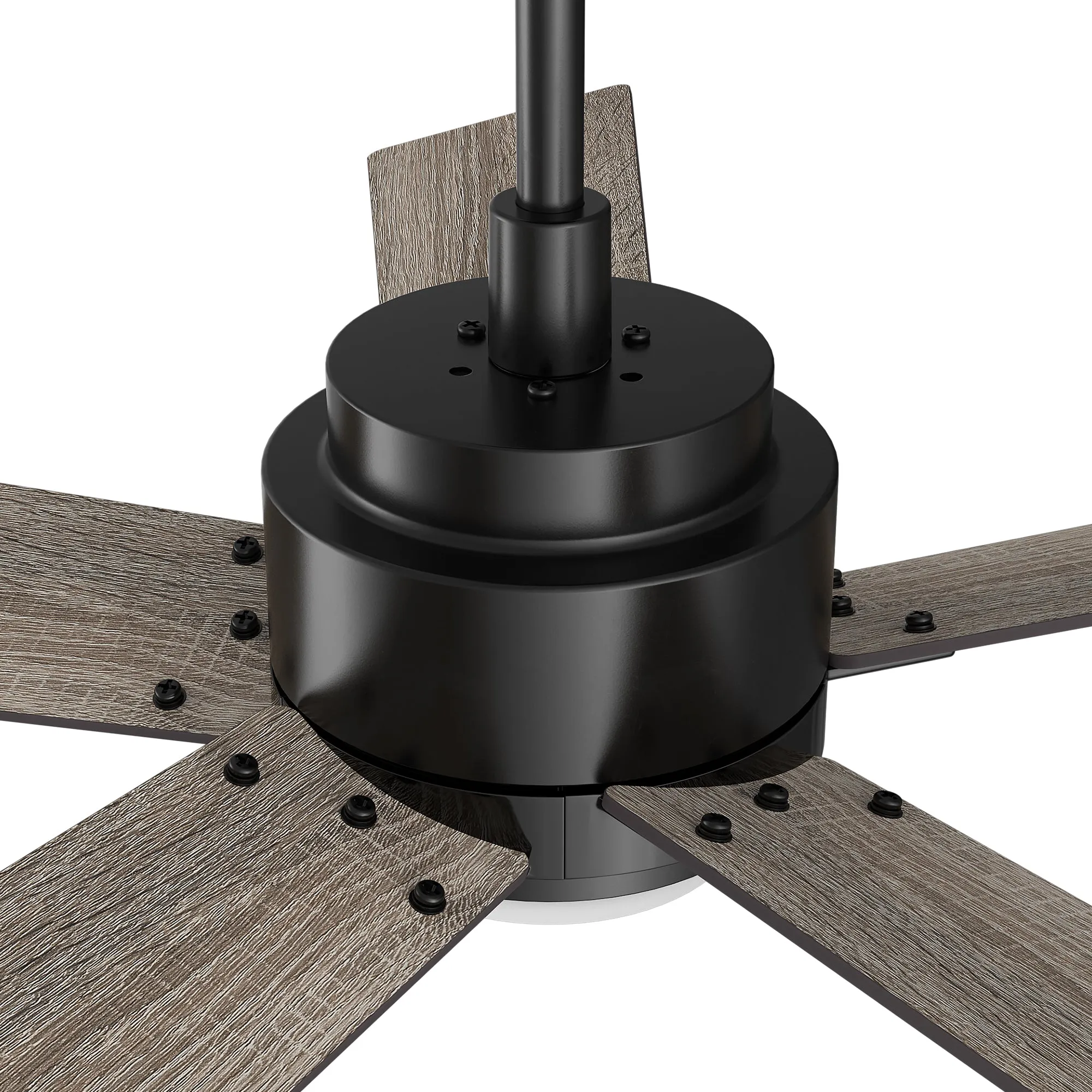 ASCENDER 56 inch 5-Blade Smart Ceiling Fan with LED Light & Remote Control - Black/Walnut & Barnwood (Reversible Blades)