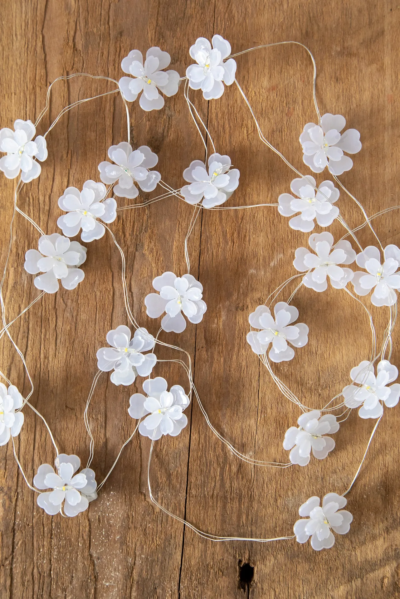 Blossom String Lights