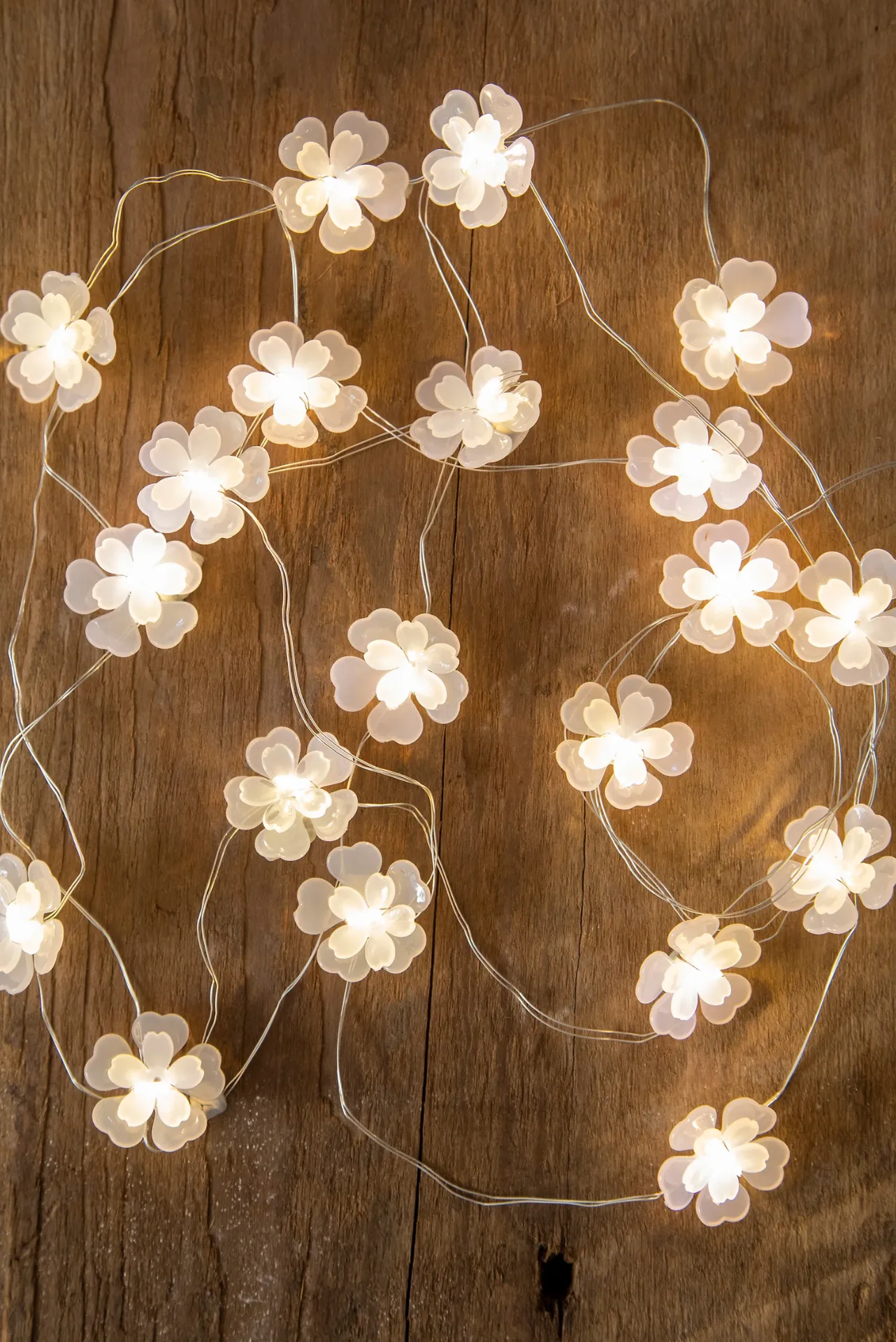 Blossom String Lights