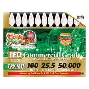 Christmas LED Light Set, C6, Commercial-Grade, Warm White, 100-Ct.