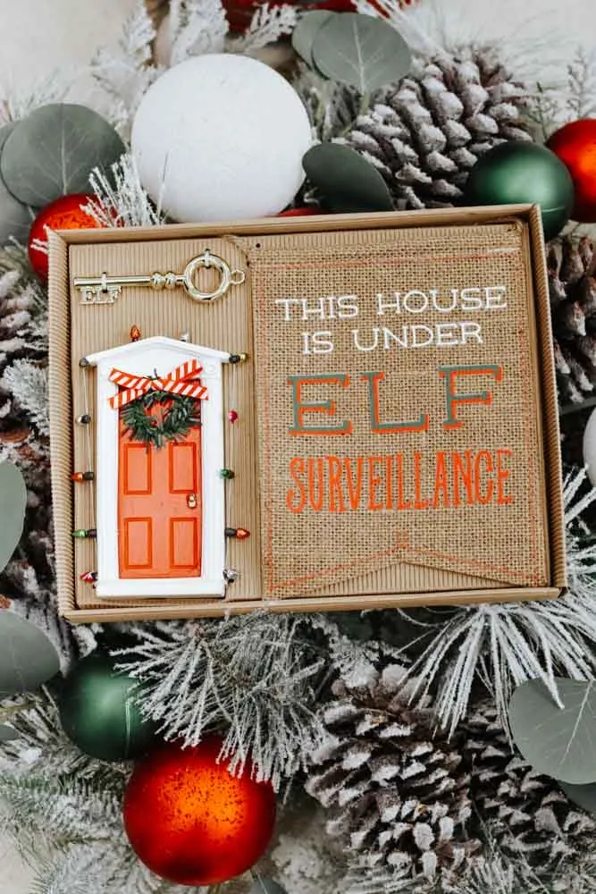 Elf Surveillance