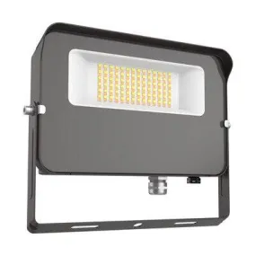 Flood Light 50W 50/40/3000K 120-277V 0-10V Dimming Yoke Photocell