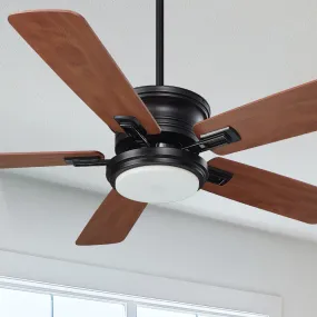 Glacier Smart Outdoor Ceiling Fan 52 inch with Led Light and Remote