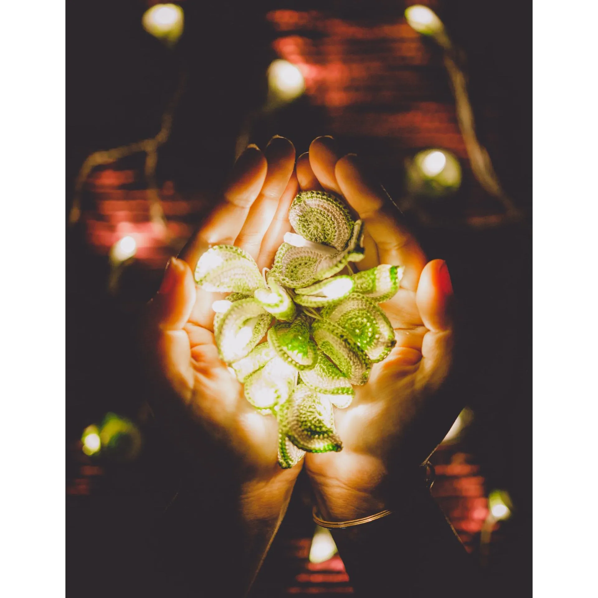 Home Decor LED String Lights ~ Green Lily Bougainvillea