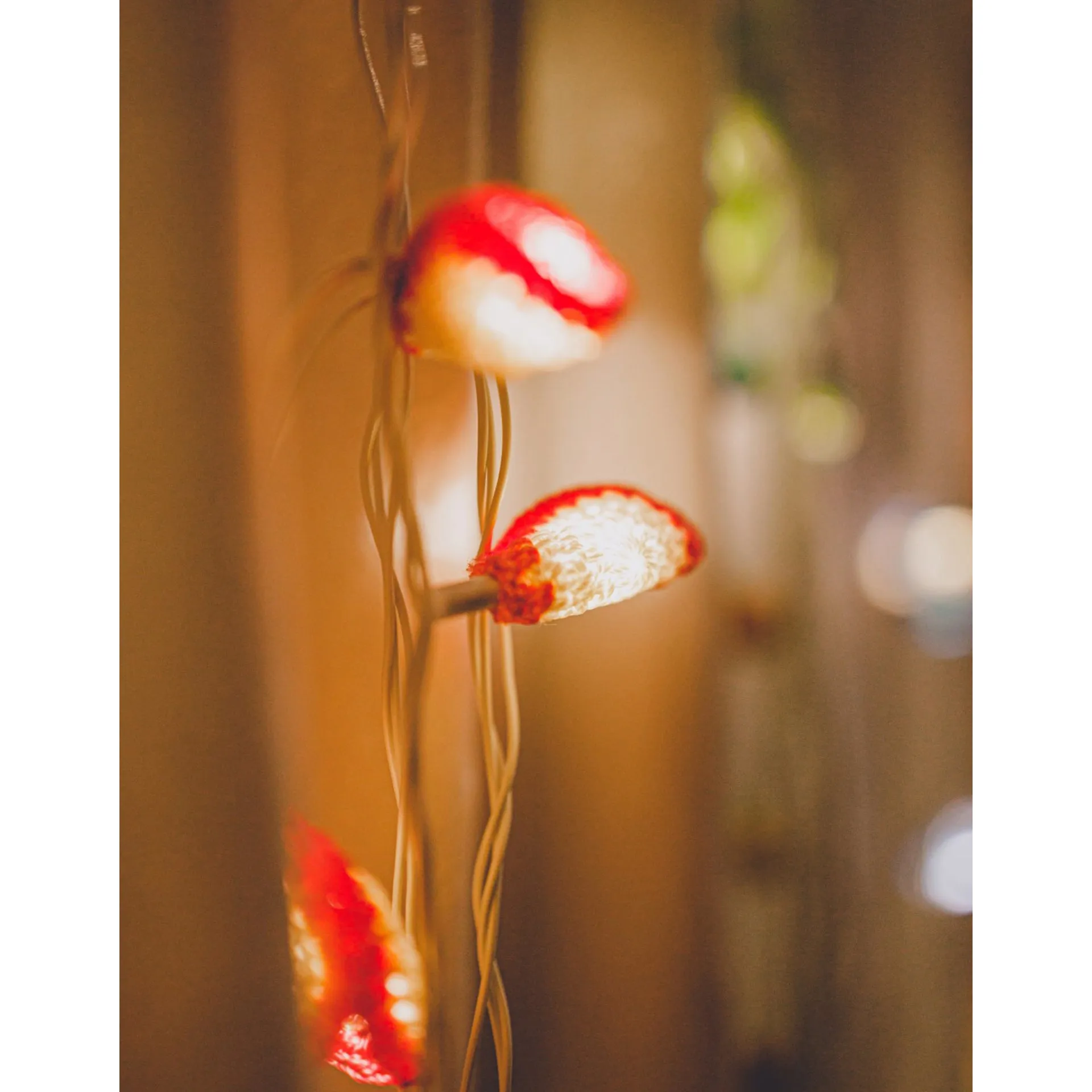 Home Decor LED String Lights ~ Orange Lily Bougainvillea