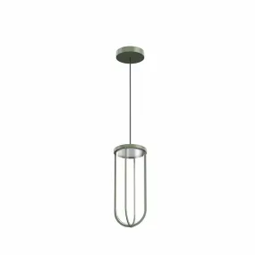 In Vitro Suspension Outdoor Lighting