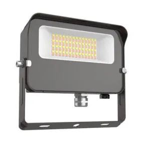 LED Flood Light 30W 50/40/3000K 120-277V 0-10V Dimming Yoke