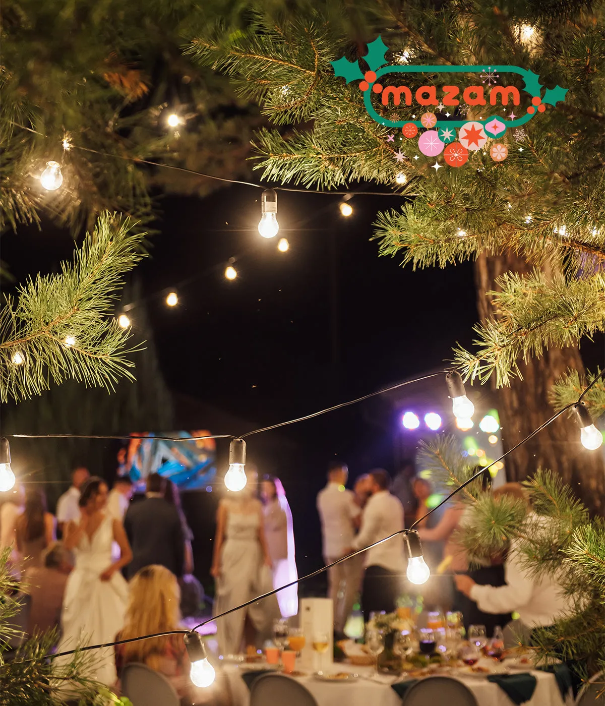 Mazam 70M Festoon String Lights LED Christmas Waterproof Wedding Party Outdoor