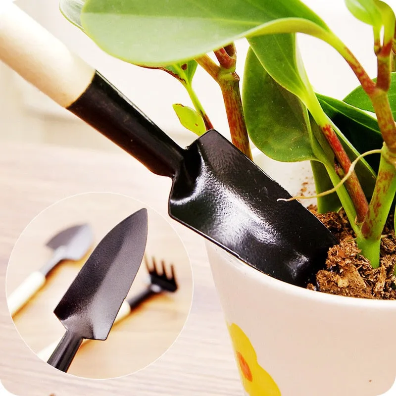 Mini Garden Tool Set